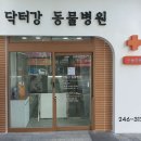 강동물병원 이미지