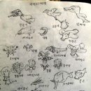 신북초교 이미지