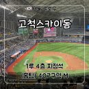 삼성푸른세탁 | 고척스카이돔 야구장 1루 4층 홈팀 지정석 407구역 M열 시야 원정팬 직관 후기