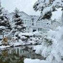 언덕위에 이미지