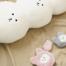 베블리협동조합 이미지