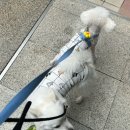 삼육사로26 이미지