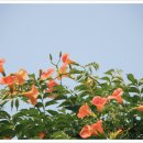 나비민박 이미지