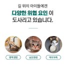 베스트 캣 | 프로가 만든 베스트 고양이 사료 프로베스트 캣 면역 플러스+ 이벤트 후기