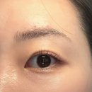 HERE BROW(히얼브로우) | [구월동속눈썹펌] 히얼래쉬 :: 인상이 또렷해지는 속눈썹 위아래펌 추천