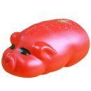 돼지저금통 Daum카페