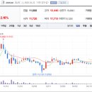 와이제이글로벌 이미지