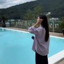 내촌애견 | 포천 애견동반 가능 바베큐 수영장 카페 구디가든