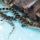 함평양서파충류생태공원 이미지