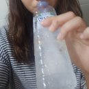 영지분회 | 간에좋은영양제::밀크씨슬 효과 과연?