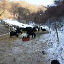 경종농장 이미지