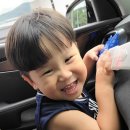 가온축산유통 - 군산시 동수송3길 21 | 가온축산유통
