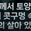 (주)네스토스 이미지