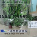 대전중앙병원 이미지