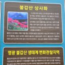 불갑농촌테마공원 | 전국 최대 상사화 자생군락지 &amp; 고요하고 깊은 자연의 숨결과 마주한 불갑사 방문기