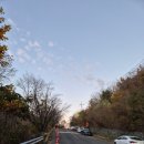 산새사슴농장 | 251116 울주 간월재 방문 후기