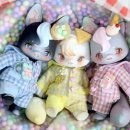 I.doll
