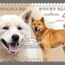 명견 이미지