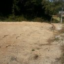 뉴전원공인중개사사무소 이미지