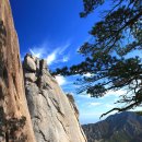 코코스타 이미지