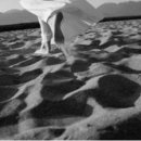 걷다보니 이미지