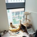 묘한호텔 이미지