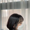 로하 살롱
