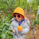 대운농장 이미지