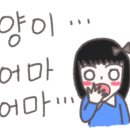 순수치킨인천