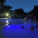 레아네팜 이미지