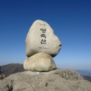 (주)대원고속관광 이미지