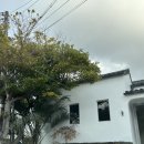 애월마실 | 제주 애월 숙소 | 제주 이니히 애월 자쿠지 감성숙소 내돈내산 솔직후기(ft.가성비회 포장)