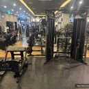 수바디 이미지