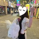 히포워시존 이미지