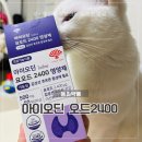 아이오딘 | 갑상선건강 동화약품 아이오딘 요오드 2400 섭취 솔직 후기!