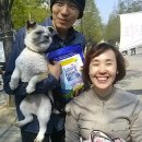 미관광장 이미지