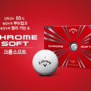 렉스소프트 이미지