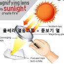 돋보기피부과의원 이미지