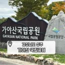 까투리 김밥신화 (백운점) | 경북 등산 추천 '가야산' 용기골 코스 10월 주말 방문 후기 (주차장 꿀팁)