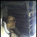 상주 동학교당 이미지