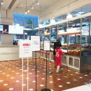 롯데피트인산본점 이미지