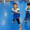 차돌체육관 이미지