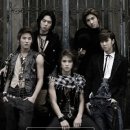 까사로카 이미지