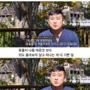어린 삵 자연방사 이미지