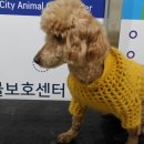CU 탑동하나점