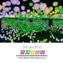 헤이퍼피 | 파주 실내 데이트 인생샷이 쏟아지는 미디어아트 뮤지엄헤이 관람후기