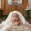 [ 1/30 ] 사진촬영, 조명 초급과정 | 150일 촬영) 비비유어러브 송도 성장앨범 베이비스튜디오 후기