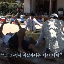 서진목장 이미지