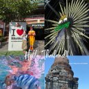 수산2농장 | [공지] 태국 패키지 여행 추천 트립빌리지 방콕 파타야 6박 8일 코스 일정 후기