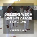 스타태권도스쿨 이미지